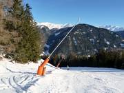 Lansbesneeuwing bij de dalafdaling