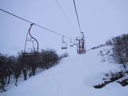 Bosafdaling bij de Plaza Bahn