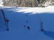 Ski Movie Parallel-wedstrijdparcours