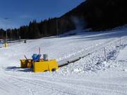 Transportbanden Madessa in Ravascletto