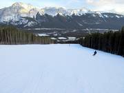 Afdaling Lower Homesteader