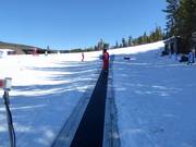 Big Sky Carpet Surface Lift 5 (Skiwee) - Transportband/Moving Carpet