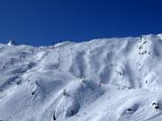 Zwarte piste Black Mamba