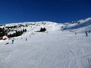 Gemakkelijke familie-afdaling