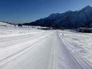 Perfecte beginnerspiste Valbiolo bij de Passo del Tonale