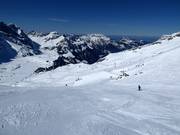 Piste Stand-Rindertitlis