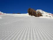 Uitstekende pistepreparatie in het skigebied Pejo