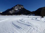 Mooie loipes in Bad Häring