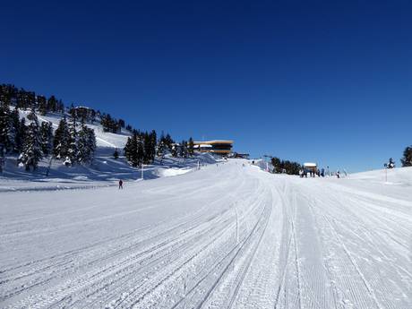Skigebieden voor beginners in de Tuxer Alpen – Beginners Kaltenbach – Hochzillertal/Hochfügen (SKi-optimal)