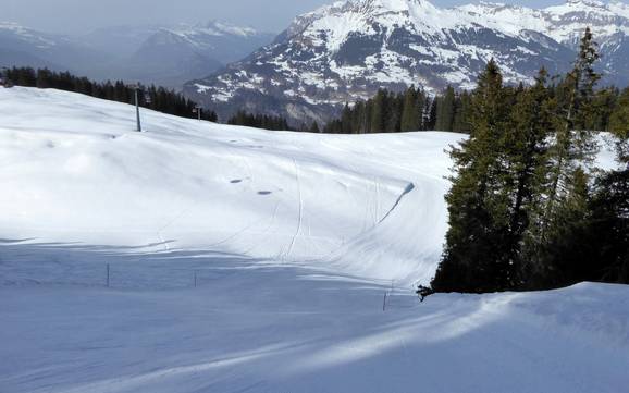 Skigebieden voor gevorderden en off-piste skiërs Prättigau – Gevorderden, off-piste skiërs Grüsch Danusa