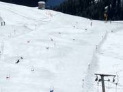 Wedrenbaan bij de Alblittlift