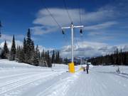 Home Run Tee - Sleeplift met T-beugel/Ankerlift