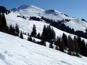 Freeridegebied Schwarzkogel