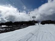 Piper T-Bar - Sleeplift met T-beugel/Ankerlift