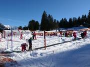 Tip voor de kleintjes  - Kinderland Neue Skischule