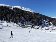 Ruim beginnersgebied Kaserwald