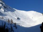 Sporen in de poedersneeuw van Fieberbrunn