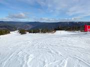 Makkelijke piste Grete