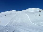 Carvedromen op de Windegga