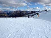 Gemakkelijke piste Big Easy