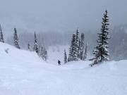 Steile afdalingen bij de stoeltjeslift Milly Express