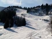 Afdalingen bij Pointe de la Turche in Les Gets