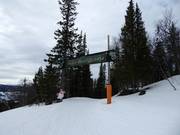 Tip voor de kleintjes 