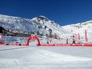 Tip voor de kleintjes 