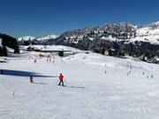 Makkelijke pistes bij de sleepliften Schwammkopf en Tannenboden