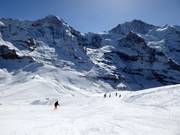 Lauberhorn-Wereldbeker afdaling
