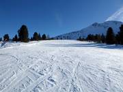 Gemakkelijke piste Schwarzhorn 2