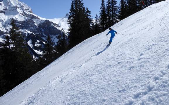Skigebieden voor gevorderden en off-piste skiërs Adelboden-Frutigen – Gevorderden, off-piste skiërs Adelboden/Lenk – Chuenisbärgli/Silleren/Hahnenmoos/Metsch