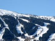 Uitzicht op de pistes in het Voss Resort