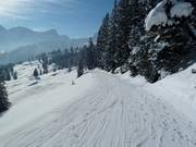 Skiweg van het skigebiedsgedeelte Bürserberg naar Brand