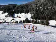 Balbachwiesenlift in Ochsengarten voor beginners