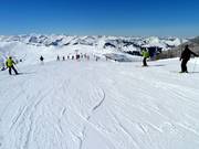 Makkelijke pistes beginnen bij de Steinbergkogel