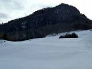 Uitzicht op de skipiste bij de Lärchenhof