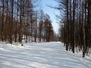 Gemakkelijke piste Azeria