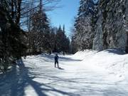 Verbindingspiste Kirchenlift-Almwiesenlift