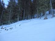 Effectieve afzetting van de bosgebieden