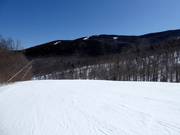 Lichte en brede piste bij de Jordan Bowl