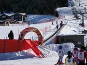 Marmotta - Transportband/Moving Carpet