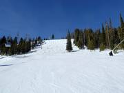 Afdaling Take a Bough