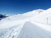 Pistes in Königsleiten