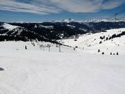 Uitzicht over de Back Bowls van Vail