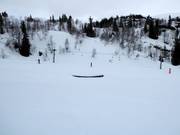 Tip voor de kleintjes 