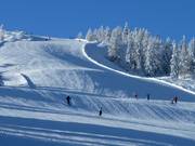 Gegolfd terrein bij de spacejet 3