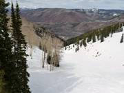 Freeride- en diepsneeuwafdaling