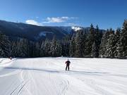 Makkelijke gezinsafdaling op de Großberg