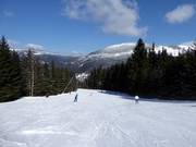 Middelzware piste Červená FIS